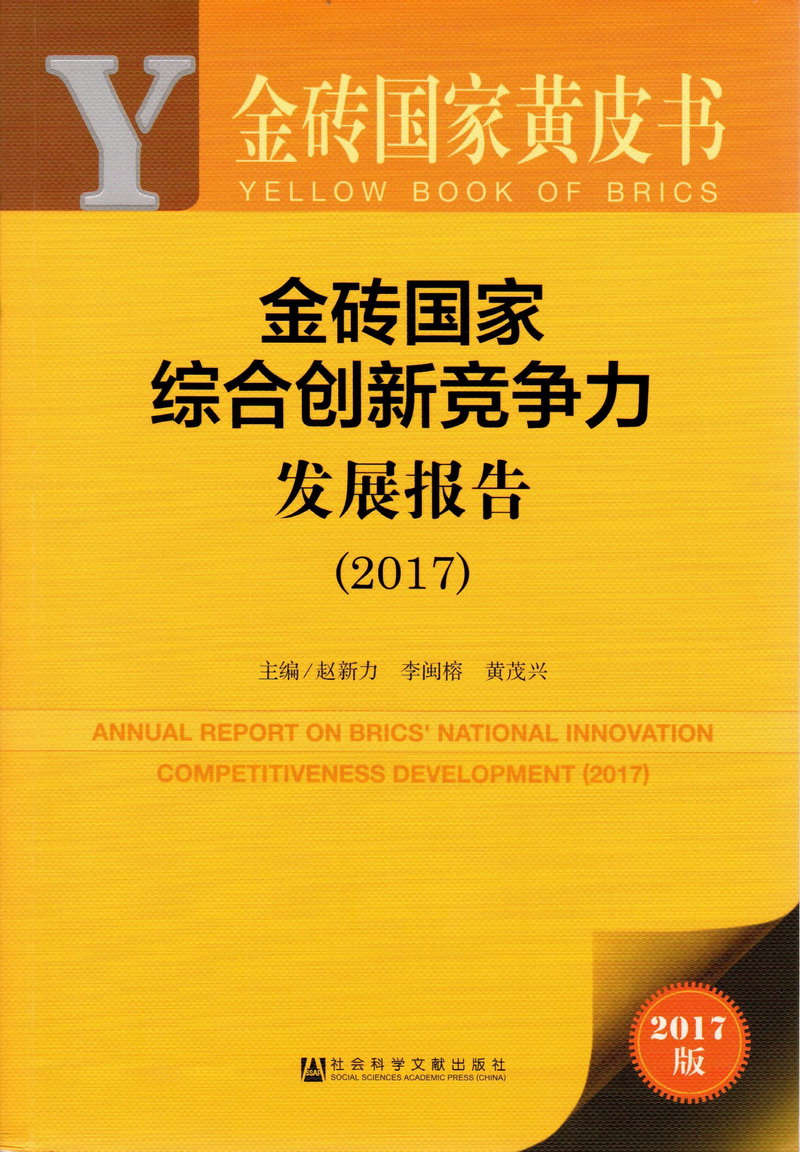 sm啊啊啊哈嗯嗯金砖国家综合创新竞争力发展报告（2017）